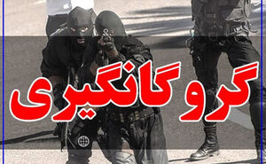 پایان خشن عامل ضرب‌وجرح دختر جوان در تهران با گلوله پلیس